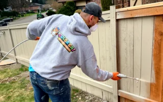 A painter expertly spraying a wooden fence with stain, providing fence staining services