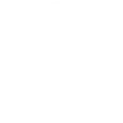 License-W Licensed and Insured